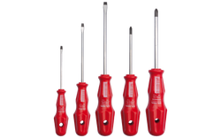 CETA FORM - 5 Pc.Torex Tornavida Tk.-Düz/Ph