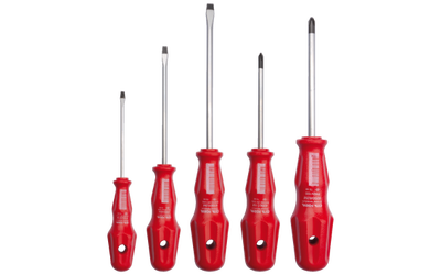 5 Pc.Torex Tornavida Tk.-Düz/Ph - 1