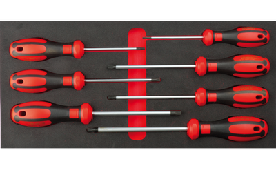 7 Pc.C-Plus Torx Tornavida Takımı/Eva'Lı - 1