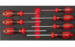 7 Pc.C-Plus Torx Tornavida Takımı/Eva'Lı - 5