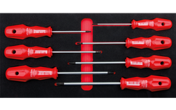 7 Pc.Torex Torx Tornavida Takımı/Eva'Lı - 4