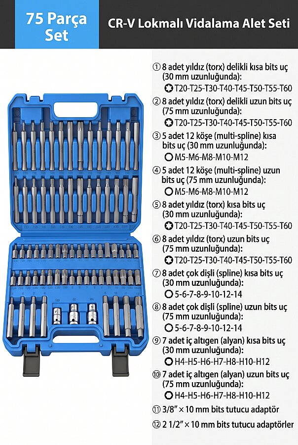 Dorf Tools 75 Parça Profesyonel Torx, Allen, M Tipi ve Ribe Bits Uç Seti (CR-V Çelik) - 2