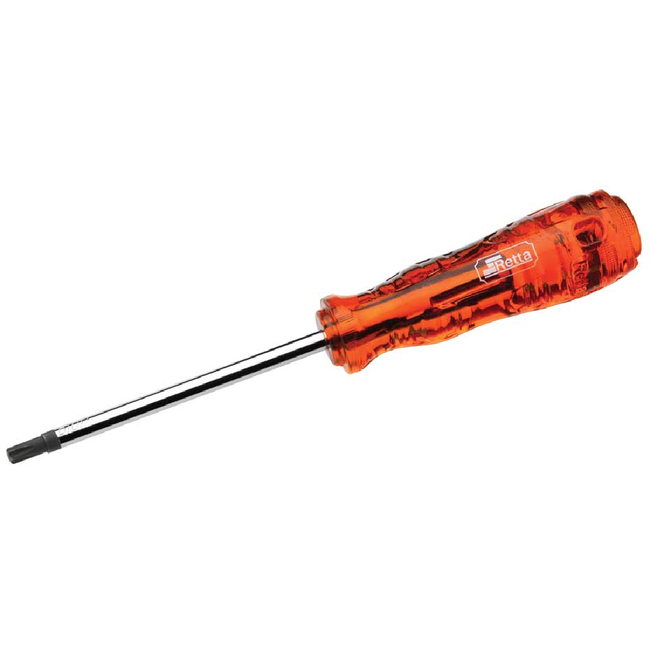 TORX TORNAVİDA ASETAT SAPLI T6 x 100 mm
